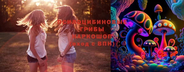 spice Армянск