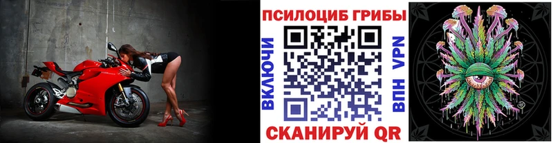 Галлюциногенные грибы Psilocybe Киров