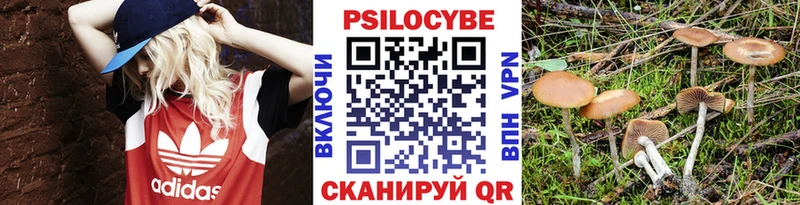 Псилоцибиновые грибы мухоморы  Киров 
