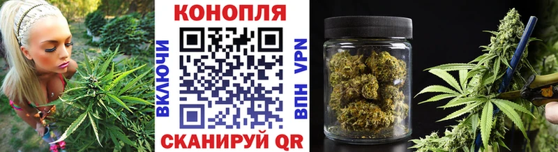 Бошки Шишки Amnesia закладки площадка клад Киров